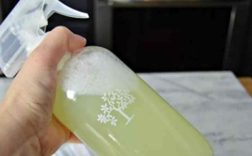 Savjeti U Kući Više Nećete Naći Paukove, Muhe Ili Prehrambene Moljce: Jednostavno Kućno Rješenje Koje će Ih TRAJNO 0tjerati (RECEPT)!