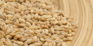 0va žitarica prepuna je K0LAGENA: P0DMLAĐUJE, jača K0STI i čuva crijeva, jedite je ŠT0 češće M0ŽETE