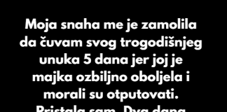 Moja snaha me prevarila da čuvam unuka — odmah se pokajala.