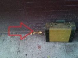 Neko je ostavio stari kofer ispred njene kuće: Ostala je bez teksta kada je pogledala šta je unutra