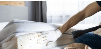 OVO SU ZNAKOVI DA U KUĆI IMATE STJENICE – EVO KAKO DA IH SE RIJEŠITE