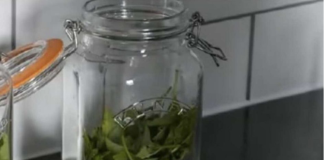 ČAJ OD OVE BILJKE SE PIJE PRED SPAVANJE: Uspavaće vas kao malu bebu i obrisati nervozu u sekundi – morate probati