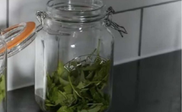 ČAJ OD OVE BILJKE SE PIJE PRED SPAVANJE: Uspavaće vas kao malu bebu i obrisati nervozu u sekundi – morate probati