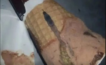 Moja ćerka je otvorila sladoled i unutra je našla nešto čudno — nismo odmah shvatili šta je to bilo. Moja ćerka je otvorila sladoled i unutra je našla nešto čudno — nismo odmah shvatili šta je to bilo. - featured image