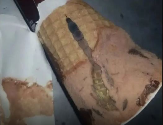 Moja ćerka je otvorila sladoled i unutra je našla nešto čudno — nismo odmah shvatili šta je to bilo. - featured image Moja ćerka je otvorila sladoled i unutra je našla nešto čudno — nismo odmah shvatili šta je to bilo. - featured image