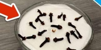 SVI ME PITAJU ZAŠTO U MOJOJ KUĆI TAKO LIJEPO MIRIŠE: Ovo je trik koji koristim, samo 2 sastojka – A KUĆA MIRIŠE DANIMA