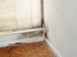 OVO JE ZNAK DA VAM JE VLAGA U SOBI OPASNO VELIKA: