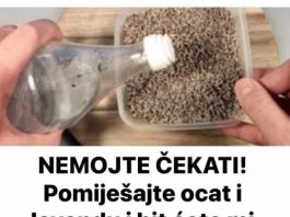NEMOJTE ČEKATI! Pomiješajte ocat i lavandu i bit ćete mi zauvijek zahvalni NEMOJTE ČEKATI! Pomiješajte ocat i lavandu i bit ćete mi zauvijek zahvalni - featured image