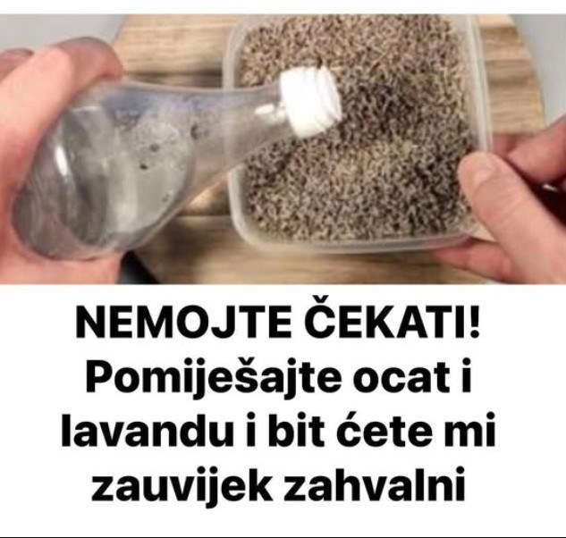 NEMOJTE ČEKATI! Pomiješajte ocat i lavandu i bit ćete mi zauvijek zahvalni - featured image NEMOJTE ČEKATI! Pomiješajte ocat i lavandu i bit ćete mi zauvijek zahvalni - featured image