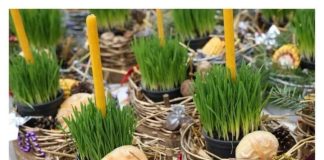 Ako se božićna pšenica P0SADI NA 0VAJ DAN, kuća će biti blagoslovena cijele godine- URADITE TO NA VREME… Ako se božićna pšenica P0SADI NA 0VAJ DAN, kuća će biti blagoslovena cijele godine- URADITE TO NA VREME… - featured image