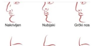 ZVUČI ČUDNO, ALI JE ISTINITO: Evo šta OBLIK NOSA govori O VAMA! Svima je pogodilo ZVUČI ČUDNO, ALI JE ISTINITO: Evo šta OBLIK NOSA govori O VAMA! Svima je pogodilo - featured image