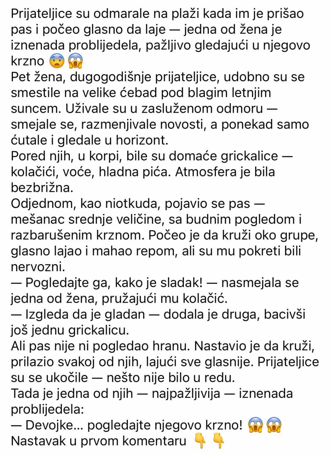 Prijateljice su se odmarale na plaži kada je pas dotrčao do njih i počeo da laje — jedna od žena je iznenada pobledela kad je primetila nešto u njegovom krznu. - featured image
