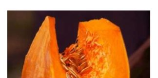 Spas za pluća, disajne puteve i imunitet: Ova biljka je pravo blago, jedite je svaki dan Spas za pluća, disajne puteve i imunitet: Ova biljka je pravo blago, jedite je svaki dan - featured image