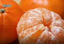 Evo koje osobe smiju, a koje ne smiju jesti mandarine Evo koje osobe smiju, a koje ne smiju jesti mandarine - featured image