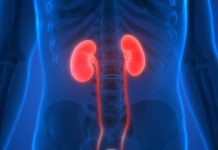 KAD SA BUBREZIMA NIJE SVE U REDU, TIJELO ŠALJE OVE SIGNALE: 6 SIMPTOMA KOJE NE SMIJETE IGNORISATI! KAD SA BUBREZIMA NIJE SVE U REDU, TIJELO ŠALJE OVE SIGNALE: 6 SIMPTOMA KOJE NE SMIJETE IGNORISATI! - featured image