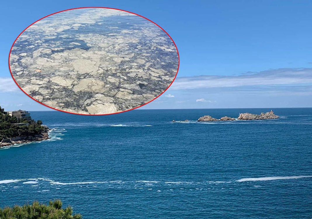 Zabrinjavajuće promjene u Jadranskom moru: Satelitske slike izazvale reakcije naučnika - featured image Zabrinjavajuće promjene u Jadranskom moru: Satelitske slike izazvale reakcije naučnika - featured image