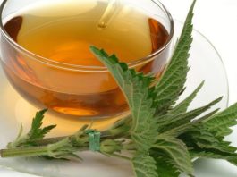 Čaj od listova koprive čisti jetru, ispire kilograme i bolji je za kožu od kozmetike: OVAKO GA MOŽETE PRIPREMITI KOD KUĆE! Čaj od listova koprive čisti jetru, ispire kilograme i bolji je za kožu od kozmetike: OVAKO GA MOŽETE PRIPREMITI KOD KUĆE! - featured image