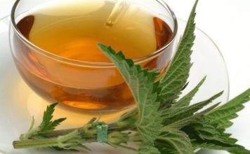 Čaj od listova koprive čisti jetru, ispire kilograme i bolji je za kožu od kozmetike: OVAKO GA MOŽETE PRIPREMITI KOD KUĆE! Čaj od listova koprive čisti jetru, ispire kilograme i bolji je za kožu od kozmetike: OVAKO GA MOŽETE PRIPREMITI KOD KUĆE! - featured image