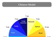 Kineski biološki sat ne griješi: Ovako otkrijte sami koji organ vam ne radi dobro! Kineski biološki sat ne griješi: Ovako otkrijte sami koji organ vam ne radi dobro! - featured image