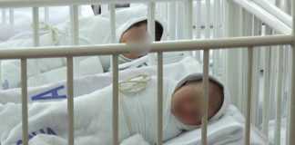 Žena rodila trojke i umrla posle 10 dana: Kad je muž pogledao u njenu torbu, sledio se u mestu Žena rodila trojke i umrla posle 10 dana: Kad je muž pogledao u njenu torbu, sledio se u mestu - featured image