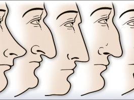 ZVUČI ČUDNO, ALI JE ISTINITO: Evo šta OBLIK NOSA govori O VAMA! Svima je pogodilo ZVUČI ČUDNO, ALI JE ISTINITO: Evo šta OBLIK NOSA govori O VAMA! Svima je pogodilo - featured image