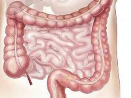 Poznati nutricionista upozorio na najštetnije piće za crijeva: Većina se nalivaju ovime, a ne znaju koliko je OPASNO! Poznati nutricionista upozorio na najštetnije piće za crijeva: Većina se nalivaju ovime, a ne znaju koliko je OPASNO! - featured image