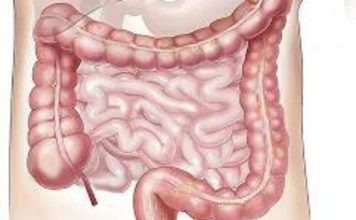 Poznati nutricionista upozorio na najštetnije piće za crijeva: Većina se nalivaju ovime, a ne znaju koliko je OPASNO! Poznati nutricionista upozorio na najštetnije piće za crijeva: Većina se nalivaju ovime, a ne znaju koliko je OPASNO! - featured image