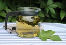 Ljekovita svojstva lista kojeg mnogi imaju u vrtu: Ovaj podcijenjen mediteranski dragulj liječi puno toga, a vi ga bacate Ljekovita svojstva lista kojeg mnogi imaju u vrtu: Ovaj podcijenjen mediteranski dragulj liječi puno toga, a vi ga bacate - featured image