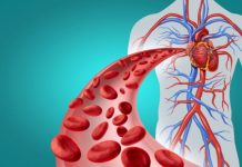 OVU KRVNU GRUPU IMAJU LJUDI KOJI ŽIVE NAJDUŽE: ONI SU OTPORNIJI NA RAK, DIJABETES I MENTALNA OBOLJENJA – KOJU KRVNU GRUPU VI IMATE? OVU KRVNU GRUPU IMAJU LJUDI KOJI ŽIVE NAJDUŽE: ONI SU OTPORNIJI NA RAK, DIJABETES I MENTALNA OBOLJENJA – KOJU KRVNU GRUPU VI IMATE? - featured image