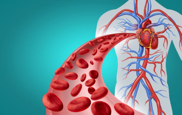 OVU KRVNU GRUPU IMAJU LJUDI KOJI ŽIVE NAJDUŽE: ONI SU OTPORNIJI NA RAK, DIJABETES I MENTALNA OBOLJENJA – KOJU KRVNU GRUPU VI IMATE? - featured image OVU KRVNU GRUPU IMAJU LJUDI KOJI ŽIVE NAJDUŽE: ONI SU OTPORNIJI NA RAK, DIJABETES I MENTALNA OBOLJENJA – KOJU KRVNU GRUPU VI IMATE? - featured image