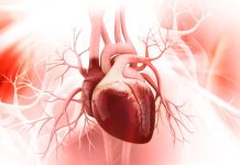 Infarkt i moždani udari mnikad ne dolaze bez upozorenja: Kardiolog tvrdi da im u 99 % slučajeva prethode ova 4 faktora rizika