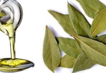 Otkrijte čaroliju lovorovog ulja: Kako priroda može očistiti vaša pluća za samo tri dana Otkrijte čaroliju lovorovog ulja: Kako priroda može očistiti vaša pluća za samo tri dana - featured image