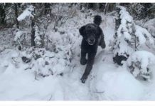 ŠTA STE PRVO VIDELI??? Precizan test ličnosti razotkriće vas za sekund: Sve što ste vešto krili izlazi na videlo ŠTA STE PRVO VIDELI??? Precizan test ličnosti razotkriće vas za sekund: Sve što ste vešto krili izlazi na videlo - featured image