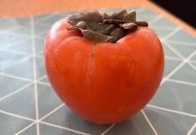 5 stvari koje trebate znati o japanskim jabukama 5 stvari koje trebate znati o japanskim jabukama - featured image