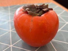 5 stvari koje trebate znati o japanskim jabukama 5 stvari koje trebate znati o japanskim jabukama - featured image