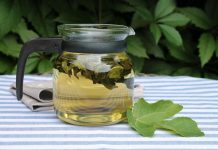 Ljekovita svojstva lista kojeg mnogi imaju u vrtu: Ovaj podcijenjen mediteranski dragulj liječi puno toga, a vi ga bacate Ljekovita svojstva lista kojeg mnogi imaju u vrtu: Ovaj podcijenjen mediteranski dragulj liječi puno toga, a vi ga bacate - featured image