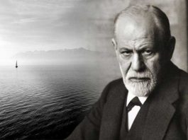 7 razloga zašto sin ne ceni i ne poštuje majku: Čuveni psiholog otkrio je kako da to rešite u jednom potezu 7 razloga zašto sin ne ceni i ne poštuje majku: Čuveni psiholog otkrio je kako da to rešite u jednom potezu - featured image