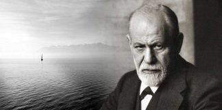 7 razloga zašto sin ne ceni i ne poštuje majku: Čuveni psiholog otkrio je kako da to rešite u jednom potezu 7 razloga zašto sin ne ceni i ne poštuje majku: Čuveni psiholog otkrio je kako da to rešite u jednom potezu - featured image