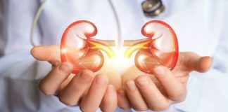 RAK BUBREGA IMA 6 SIMPTOMA – TEŠKO SE PREPOZNAJU: Posebno obratite pažnju na broj 2 RAK BUBREGA IMA 6 SIMPTOMA – TEŠKO SE PREPOZNAJU: Posebno obratite pažnju na broj 2 - featured image