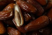 Ne Bacajte Košpice Urmi – Evo Zašto Su Toliko Moćne Ne Bacajte Košpice Urmi – Evo Zašto Su Toliko Moćne - featured image