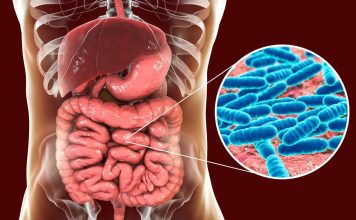Supa za čišćenje debelog creva: Rusi je jedu odmah ujutru i u roku od 40 minuta dolazi do potpunog pražnjenja creva Supa za čišćenje debelog creva: Rusi je jedu odmah ujutru i u roku od 40 minuta dolazi do potpunog pražnjenja creva - featured image