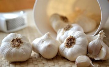 Bijeli luk ne smije svako jesti, iako je zdrav – evo kojih 5 grupa ljudi ga ne smiju ni pogledati, a kamoli jesti! Bijeli luk ne smije svako jesti, iako je zdrav – evo kojih 5 grupa ljudi ga ne smiju ni pogledati, a kamoli jesti! - featured image