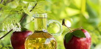 Jabukovo sirće je najbolji čuvar zdravlja, ali ga niko ne koristi pravilno: Evo kada i kako treba da se pije Jabukovo sirće je najbolji čuvar zdravlja, ali ga niko ne koristi pravilno: Evo kada i kako treba da se pije - featured image