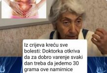 Iz crijeva kreću sve bolesti: Doktorka otkriva da zadobro varenje svaki dan treba da jedemo 30 grama ove namirnice Iz crijeva kreću sve bolesti: Doktorka otkriva da zadobro varenje svaki dan treba da jedemo 30 grama ove namirnice - featured image