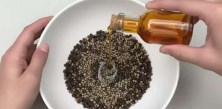 Natočite ocat u papar! OVO će vam spasiti dom Natočite ocat u papar! OVO će vam spasiti dom - featured image