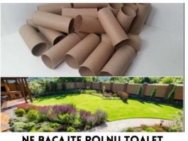 Ne bacajte rolnu toalet papira: Jedna žena je napravila čudo – i svi će ovog proleća posmatrati njeno dvorište Ne bacajte rolnu toalet papira: Jedna žena je napravila čudo – i svi će ovog proleća posmatrati njeno dvorište - featured image