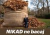 NIKAD ne bacaj jesensko lišće! EVO ZAŠTO NIKAD ne bacaj jesensko lišće! EVO ZAŠTO - featured image