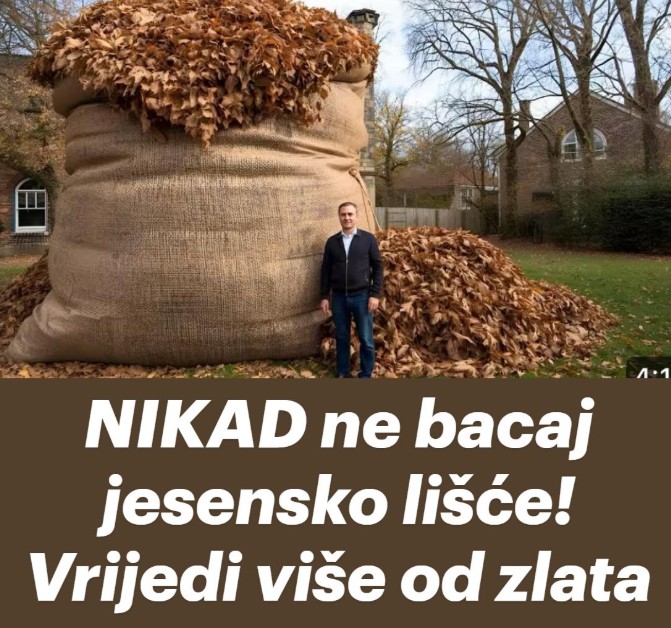 NIKAD ne bacaj jesensko lišće! EVO ZAŠTO - featured image NIKAD ne bacaj jesensko lišće! EVO ZAŠTO - featured image