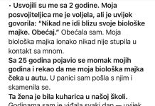 Usvojili su me sa 2 godine. Moja posvojiteljica me je voljela, ali je uvijek govorila: Usvojili su me sa 2 godine. Moja posvojiteljica me je voljela, ali je uvijek govorila: - featured image