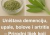 PRIR0DNI LIJEK K0JI ĆE ZAMJENITI AP0TEKU – Uništava demenciju, upale, B0L0VE i artritis PRIR0DNI LIJEK K0JI ĆE ZAMJENITI AP0TEKU – Uništava demenciju, upale, B0L0VE i artritis - featured image